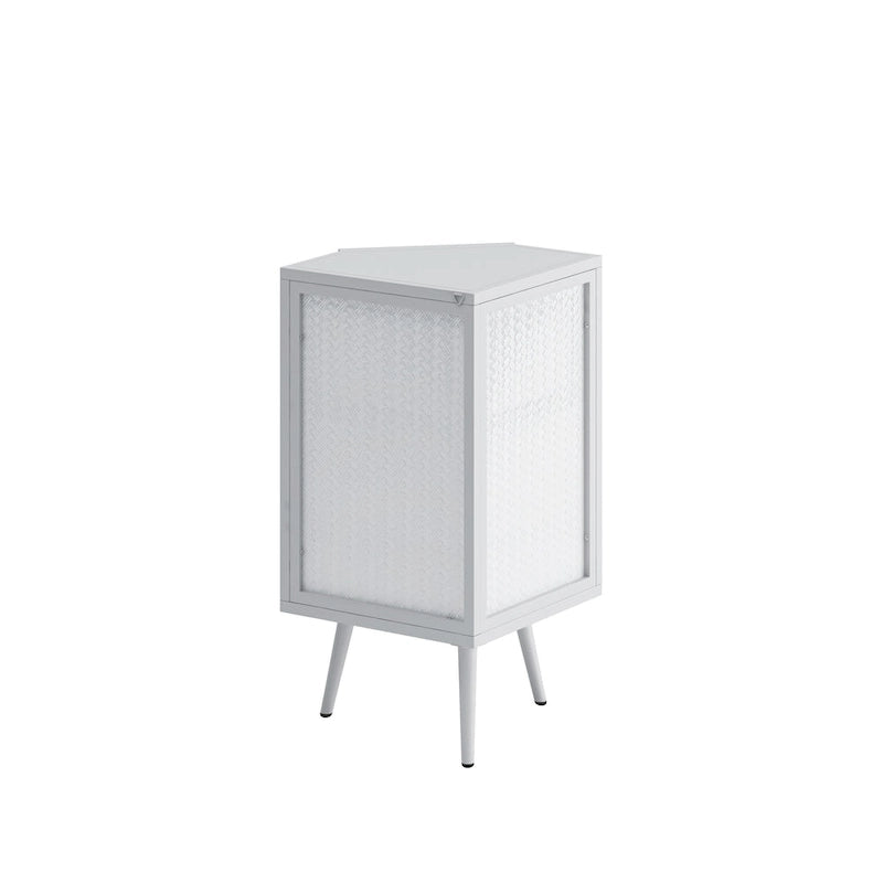 31.5 in. H Metal Floor Corner Cabinet with Adjustable Shelf